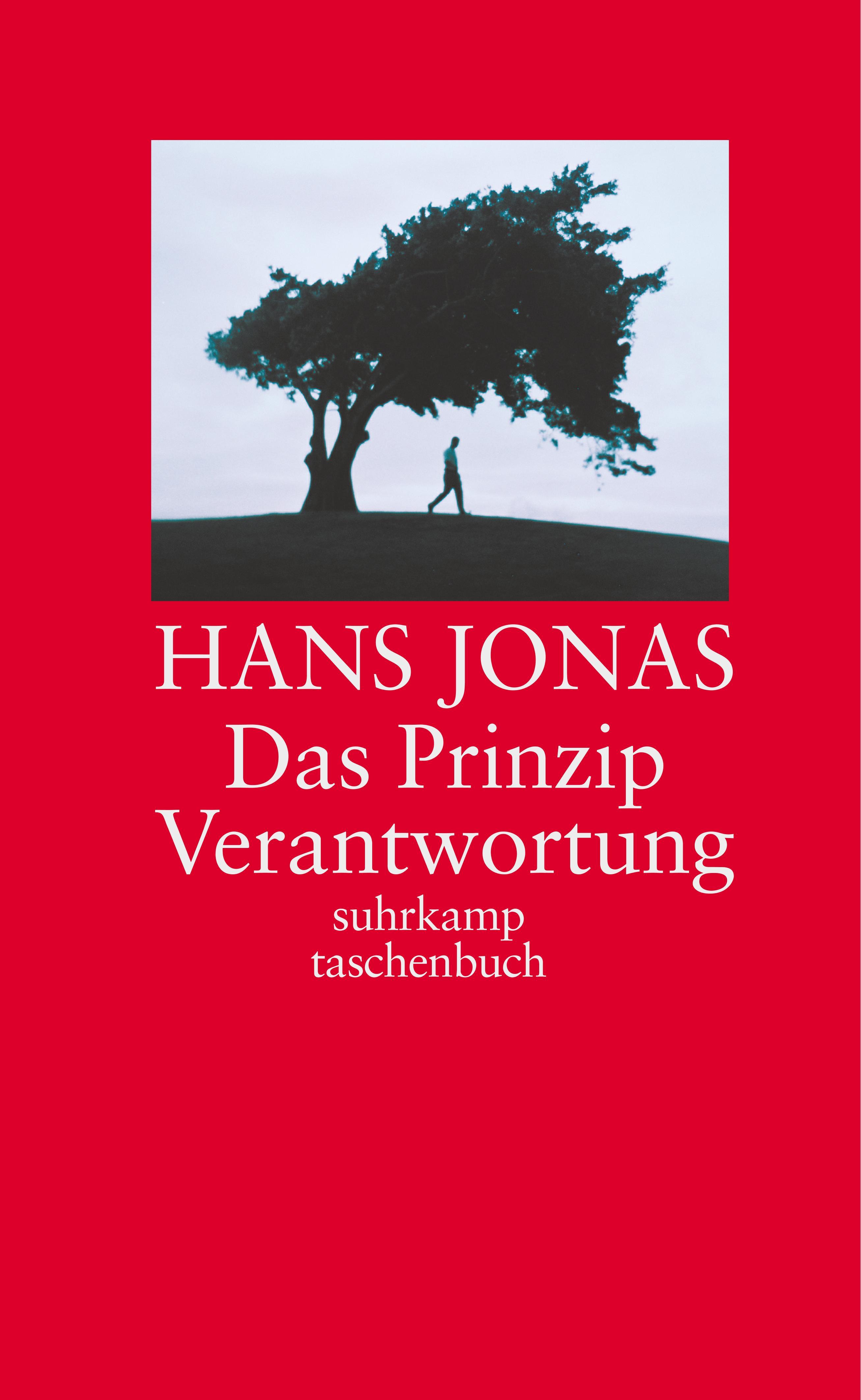 Vorderes Coverbild Das Prinzip Verantwortung