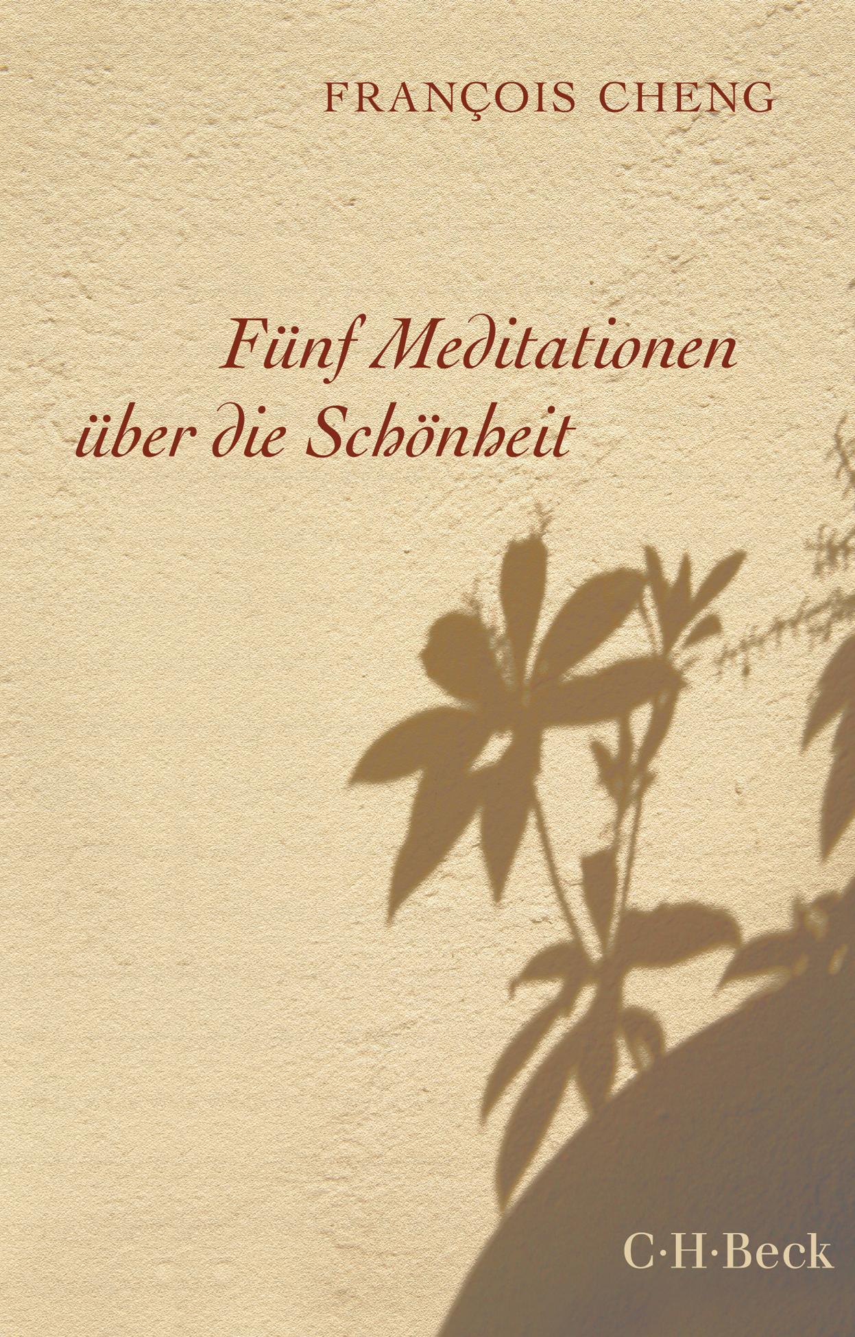 Vorderes Coverbild Fünf Meditationen über die Schönheit