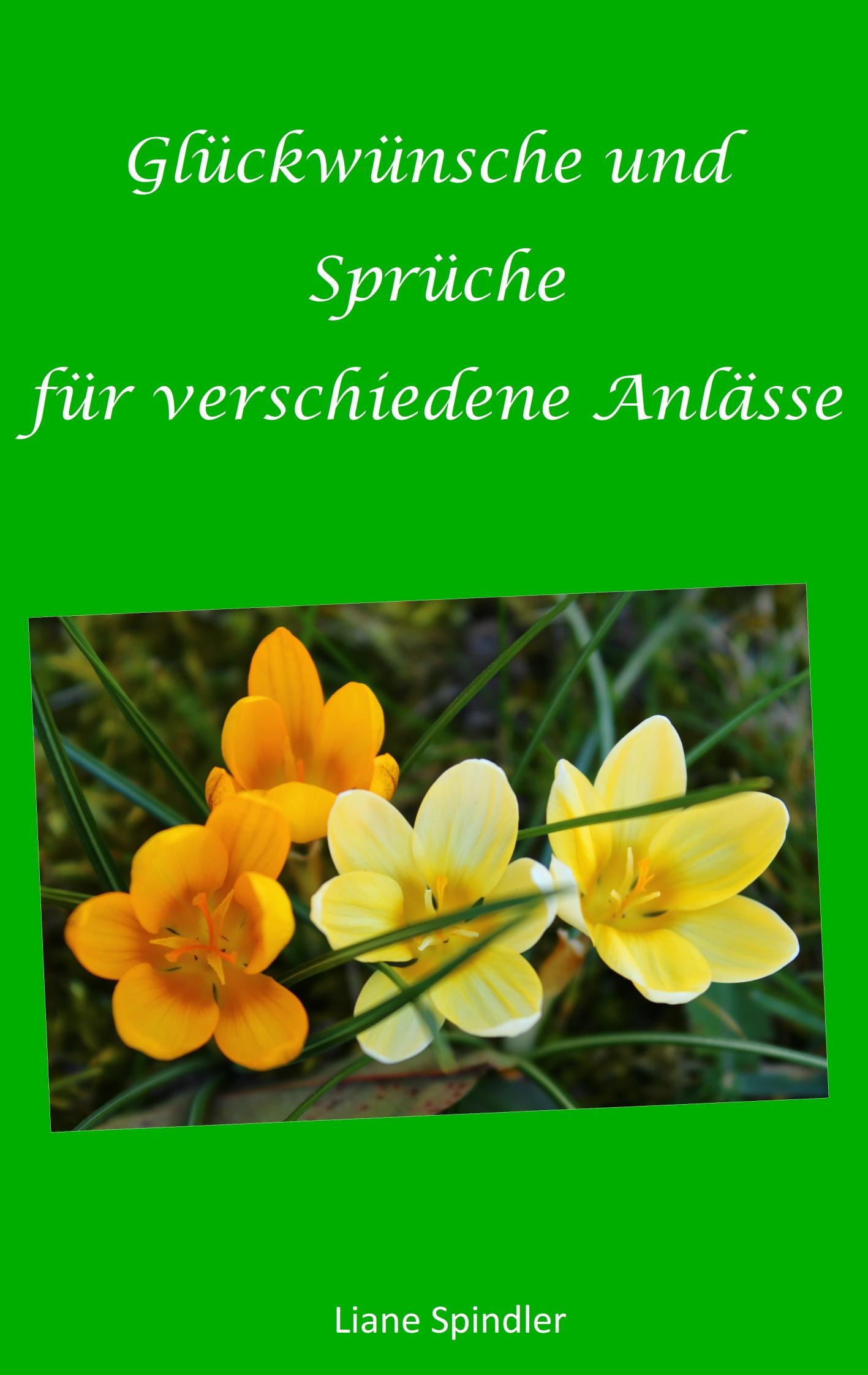 Vorderes Coverbild Glückwünsche und Sprüche für verschiedene Anlässe