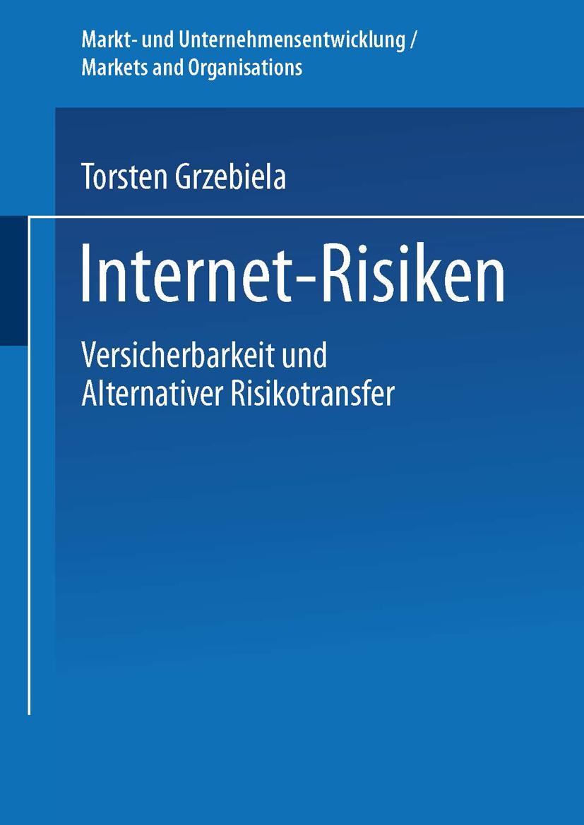 Vorderes Coverbild Internet-Risiken