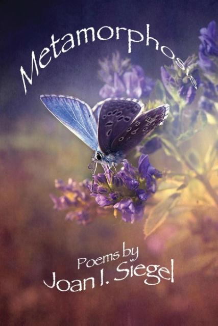 Vorderes Coverbild Metamorphosis