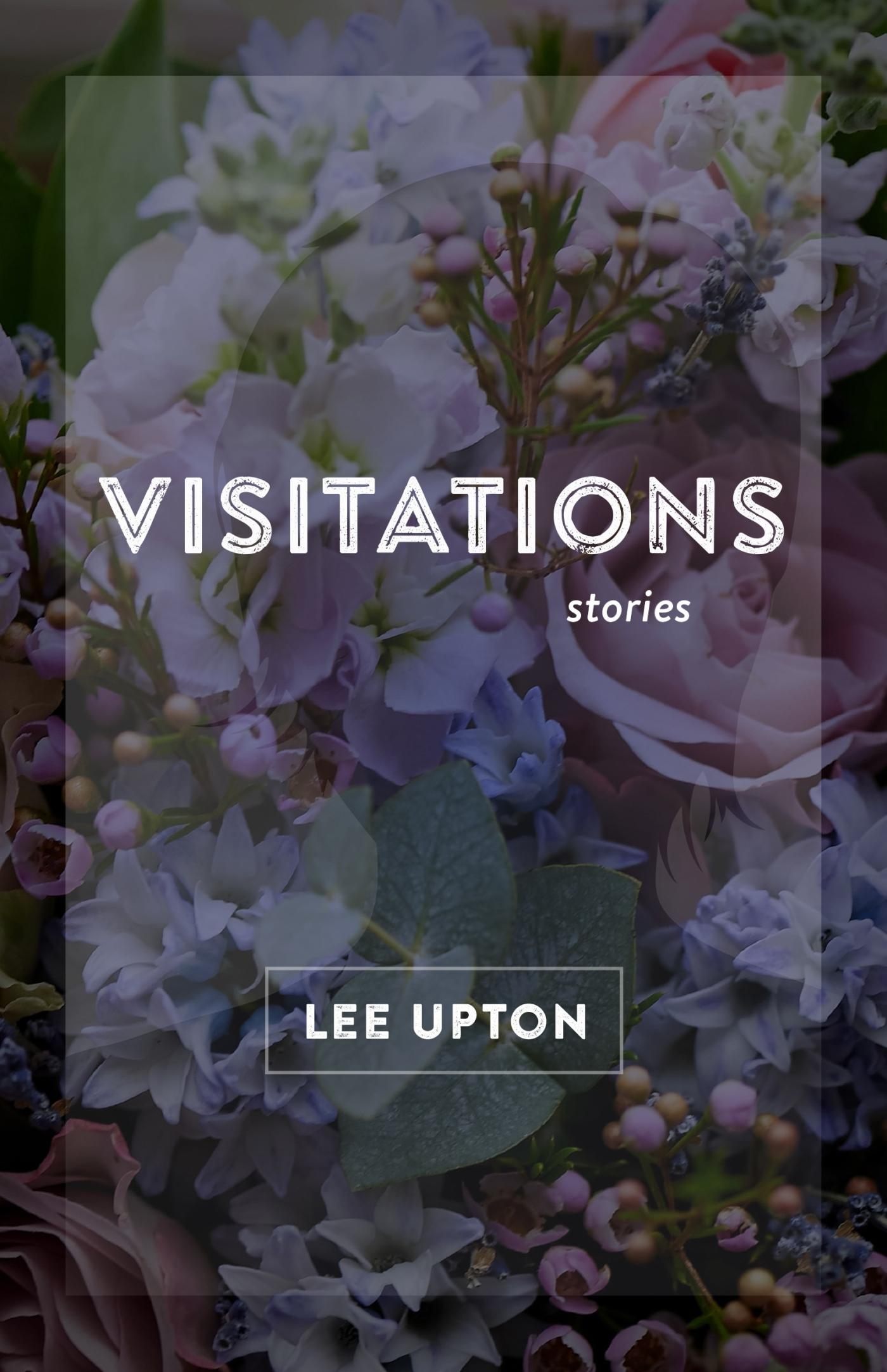 Vorderes Coverbild Visitations