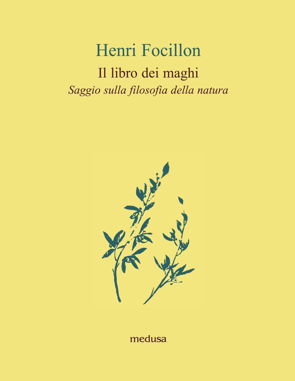Vorderes Coverbild Il libro dei maghi. Saggio sulla filosofia della natura