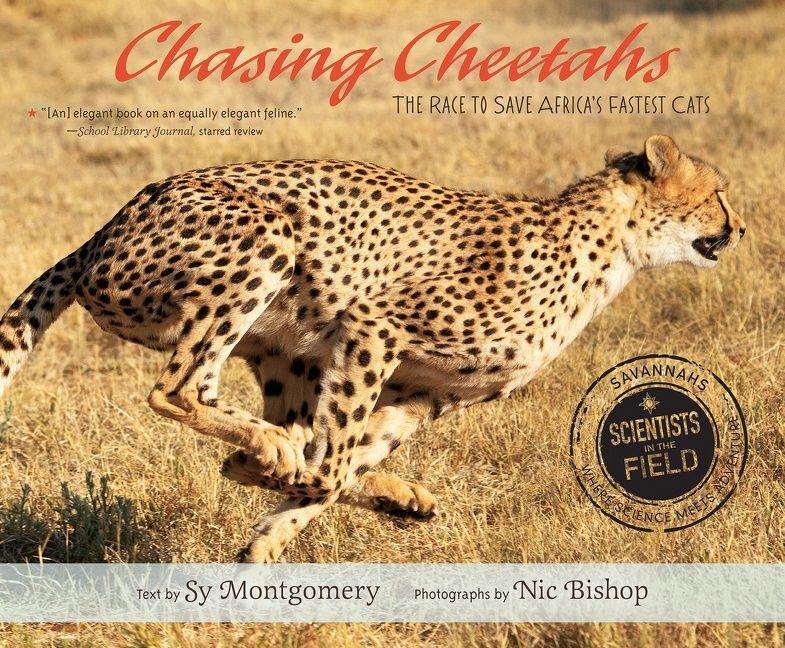 Vorderes Coverbild Chasing Cheetahs