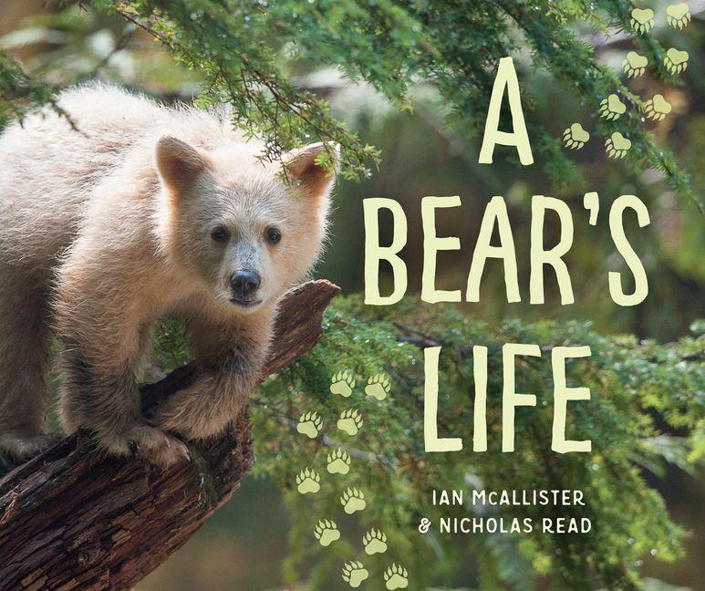 Vorderes Coverbild A Bear's Life