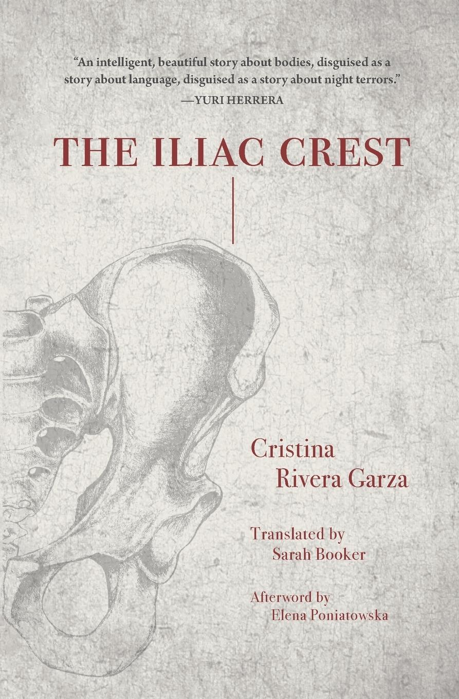 Vorderes Coverbild The Iliac Crest