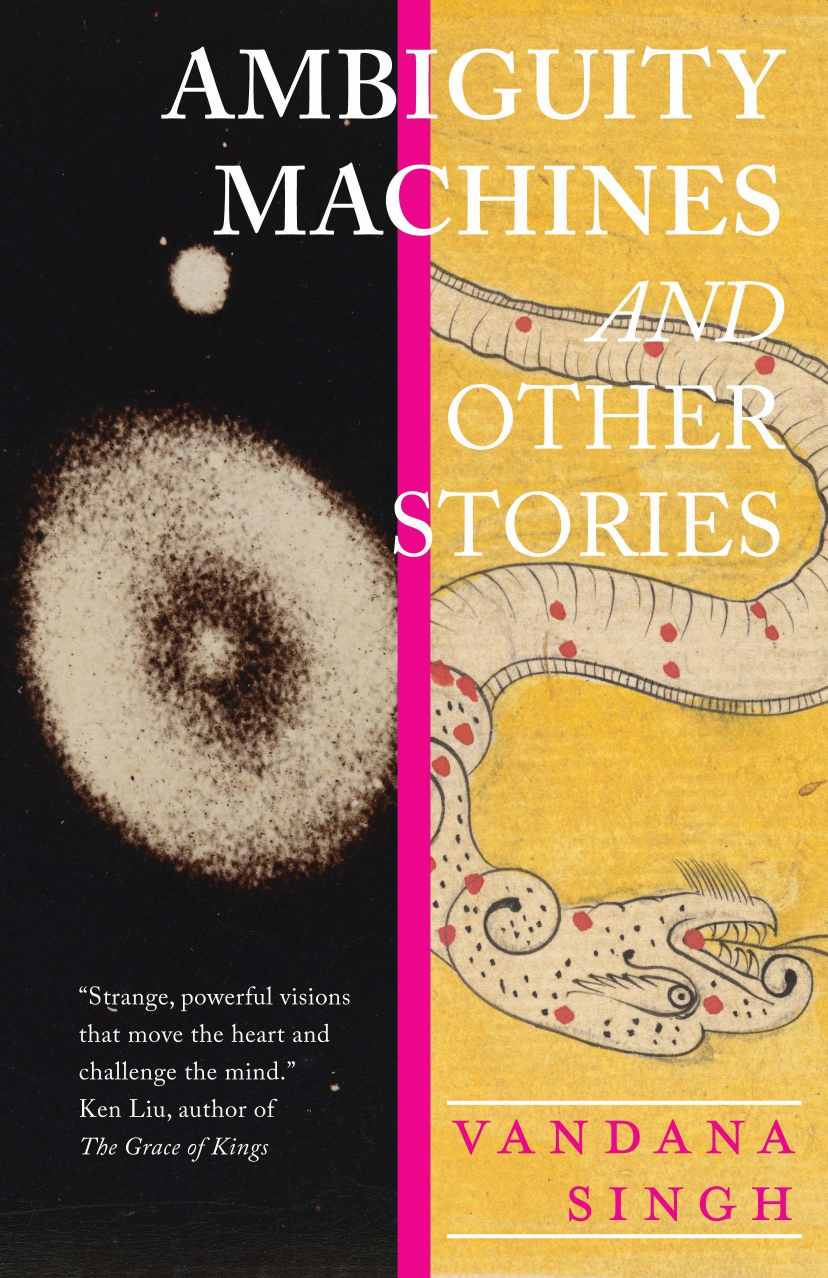 Vorderes Coverbild Ambiguity Machines