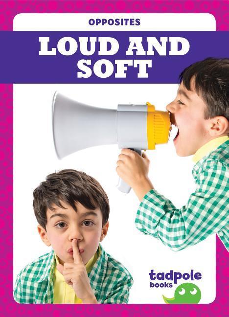 Vorderes Coverbild Loud and Soft