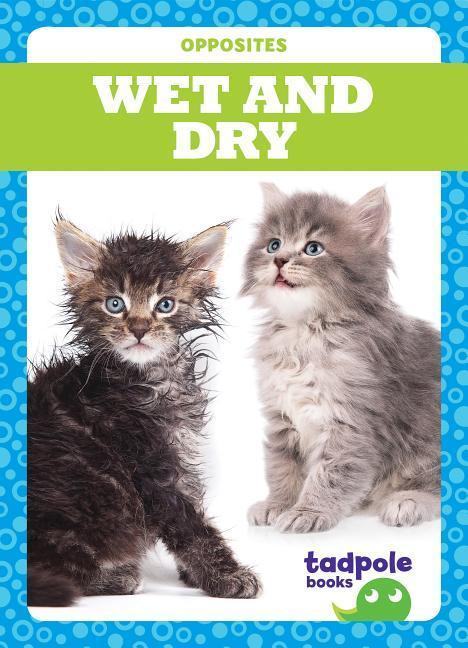 Vorderes Coverbild Wet and Dry