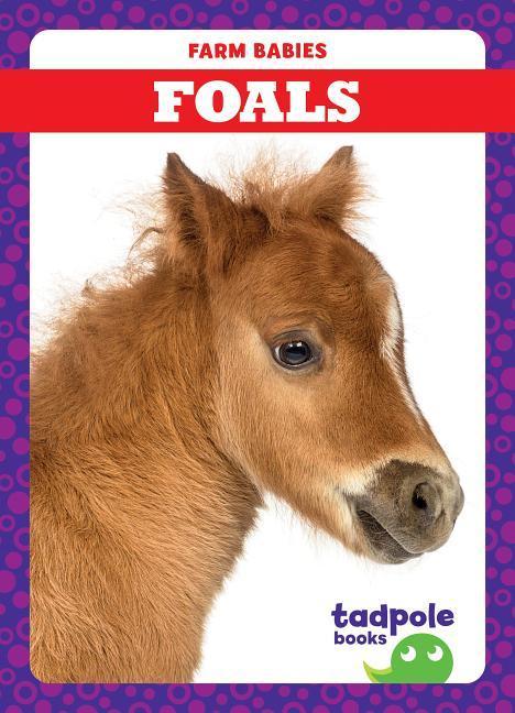 Vorderes Coverbild Foals