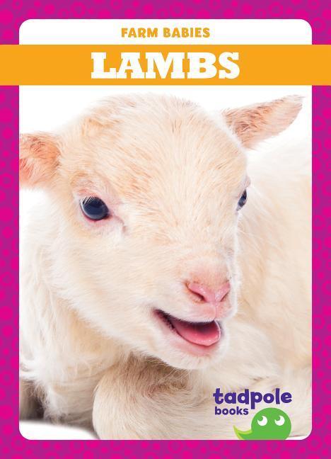 Vorderes Coverbild Lambs