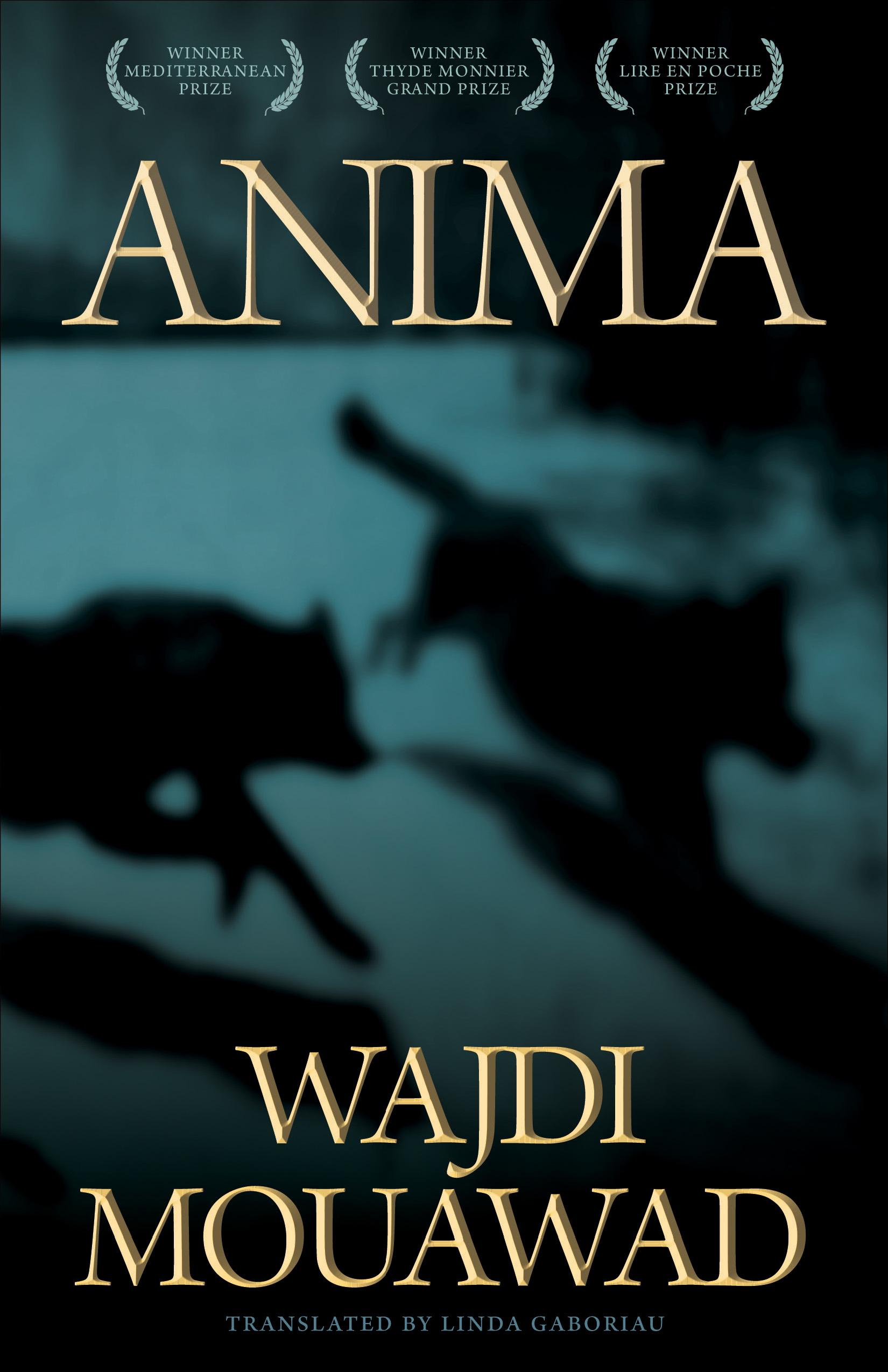 Vorderes Coverbild Anima