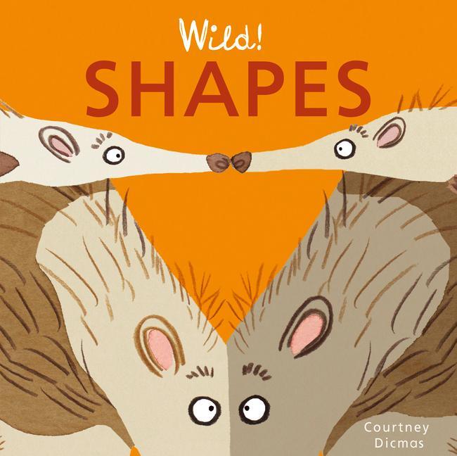 Vorderes Coverbild Shapes