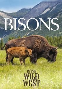 Vorderes Coverbild Bisons In The Wild West