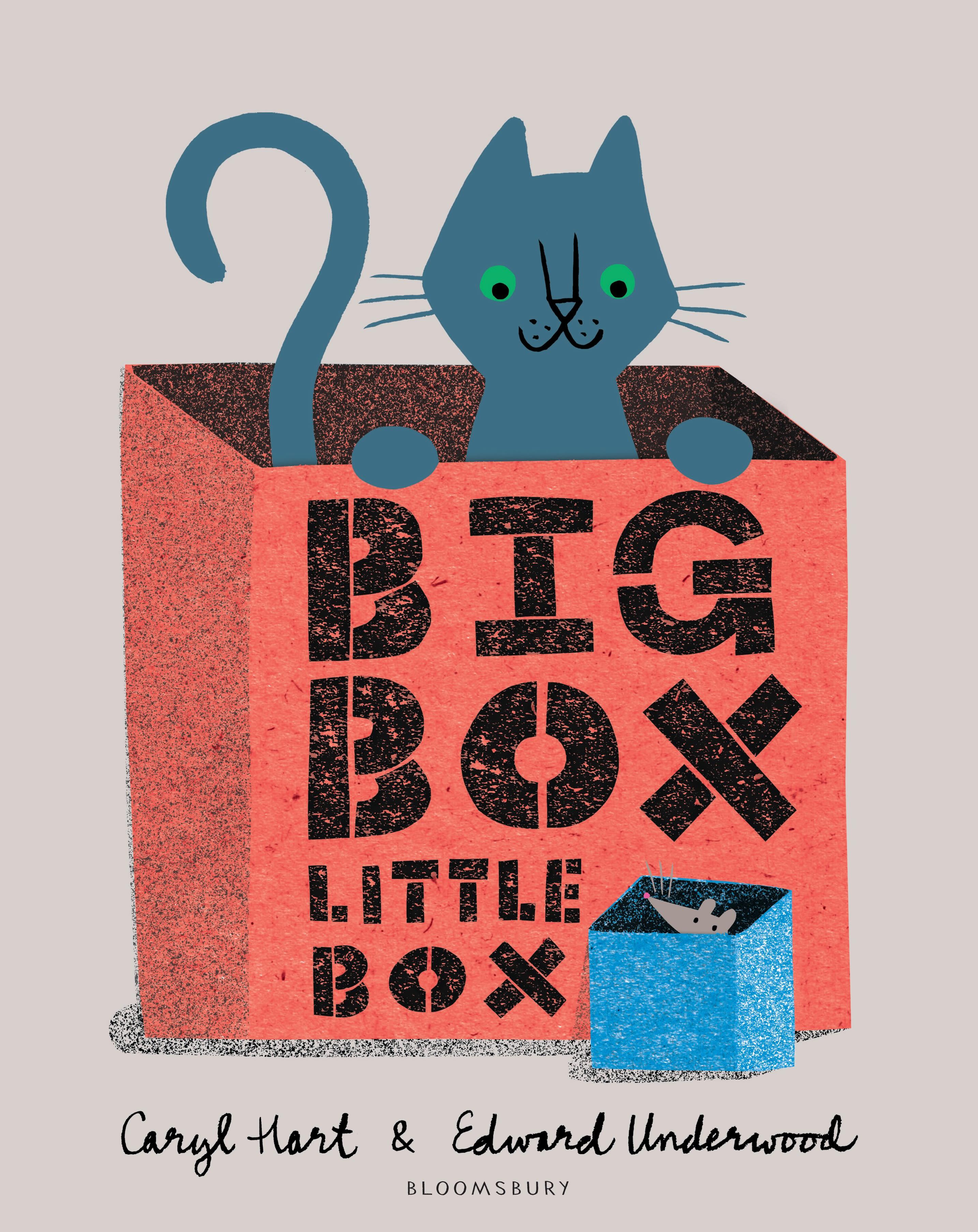 Vorderes Coverbild Big Box Little Box