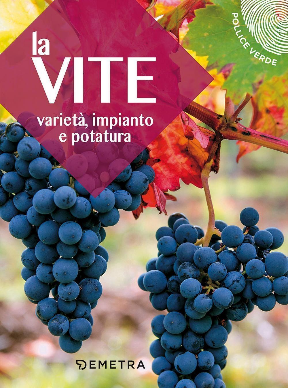 Vorderes Coverbild La vite. Varietà, impianto e potatura