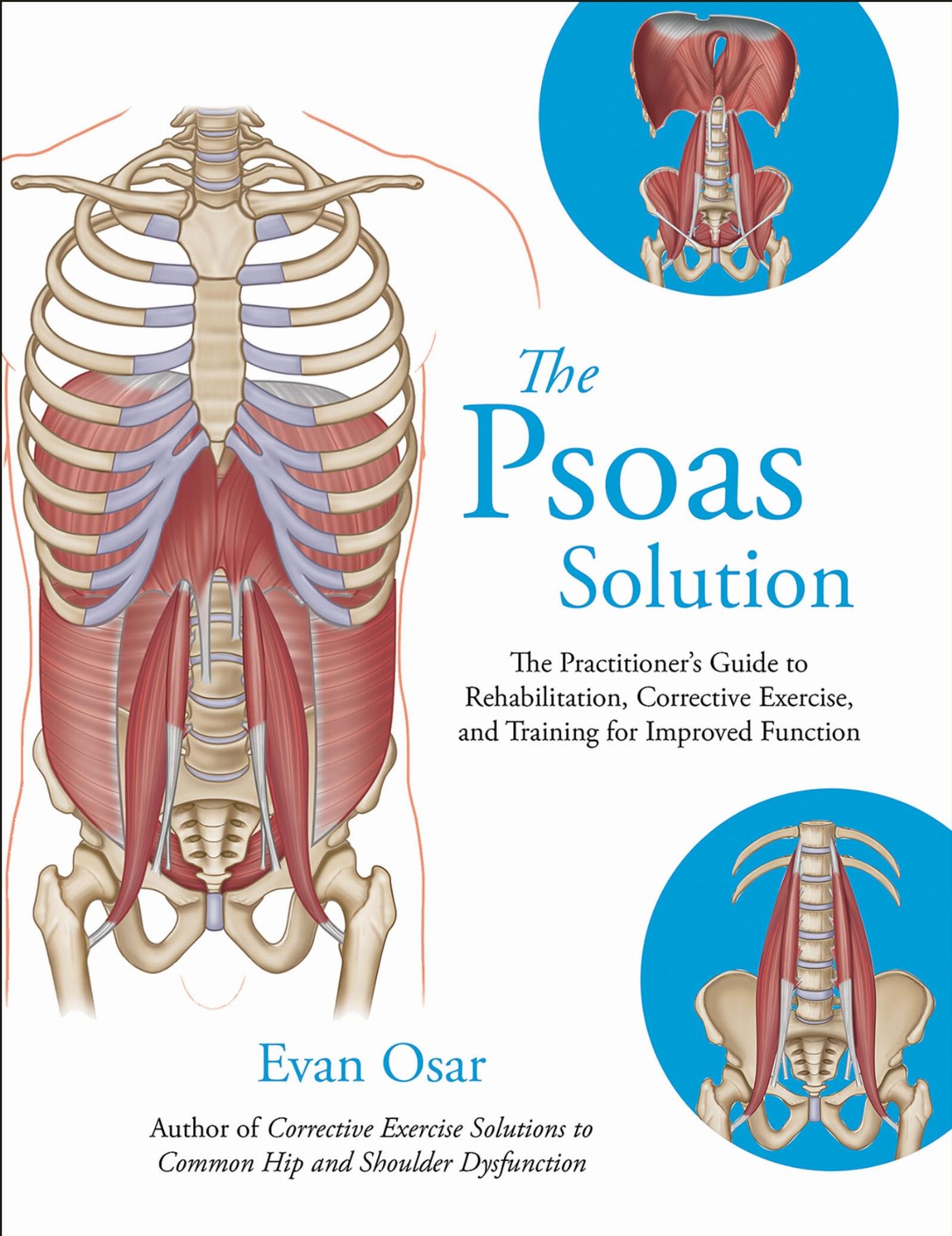 Vorderes Coverbild The Psoas Solution