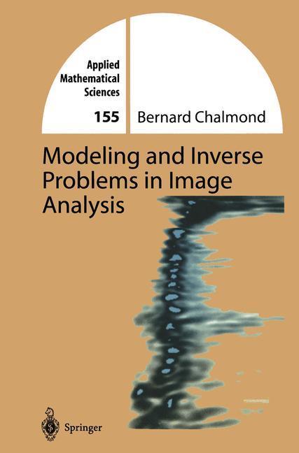 Beispielinhalt (Bild) Modeling and Inverse Problems in Imaging Analysis