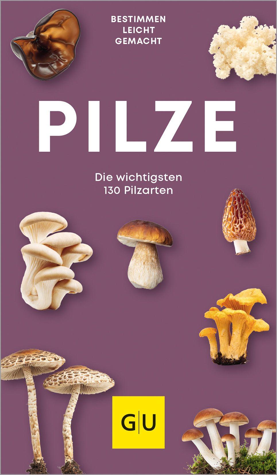 Vorderes Coverbild Pilze Kompass