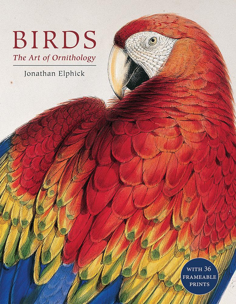 Vorderes Coverbild Birds