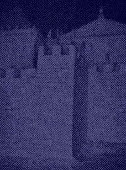 Vorderes Coverbild Albert Elm: What Sort of Life Is This