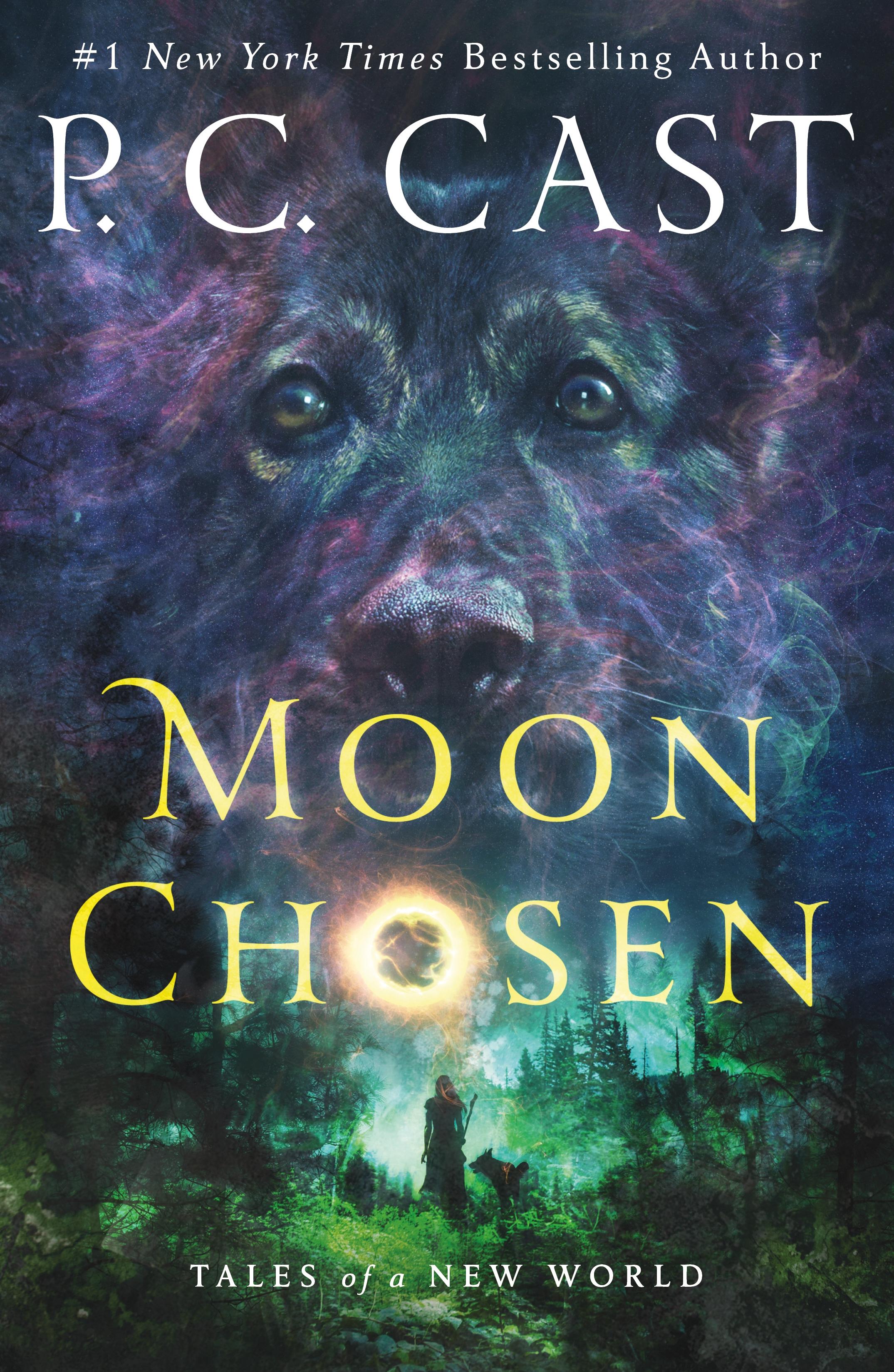 Vorderes Coverbild Moon Chosen