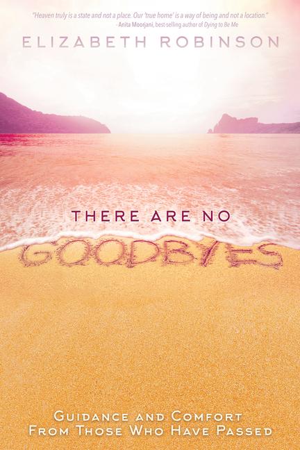 Vorderes Coverbild There Are No Goodbyes