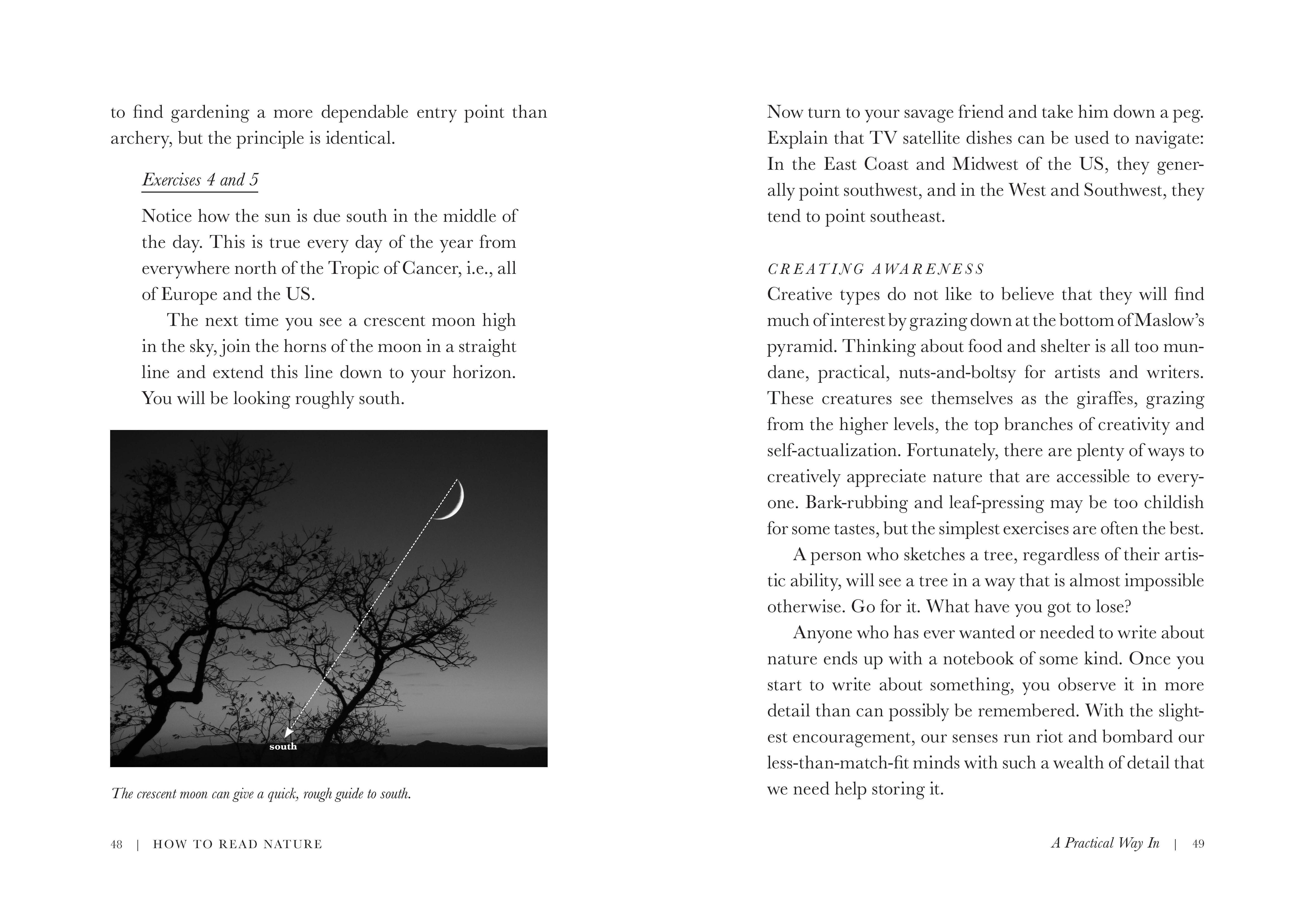 Beispielinhalt (Bild) How to Read Nature