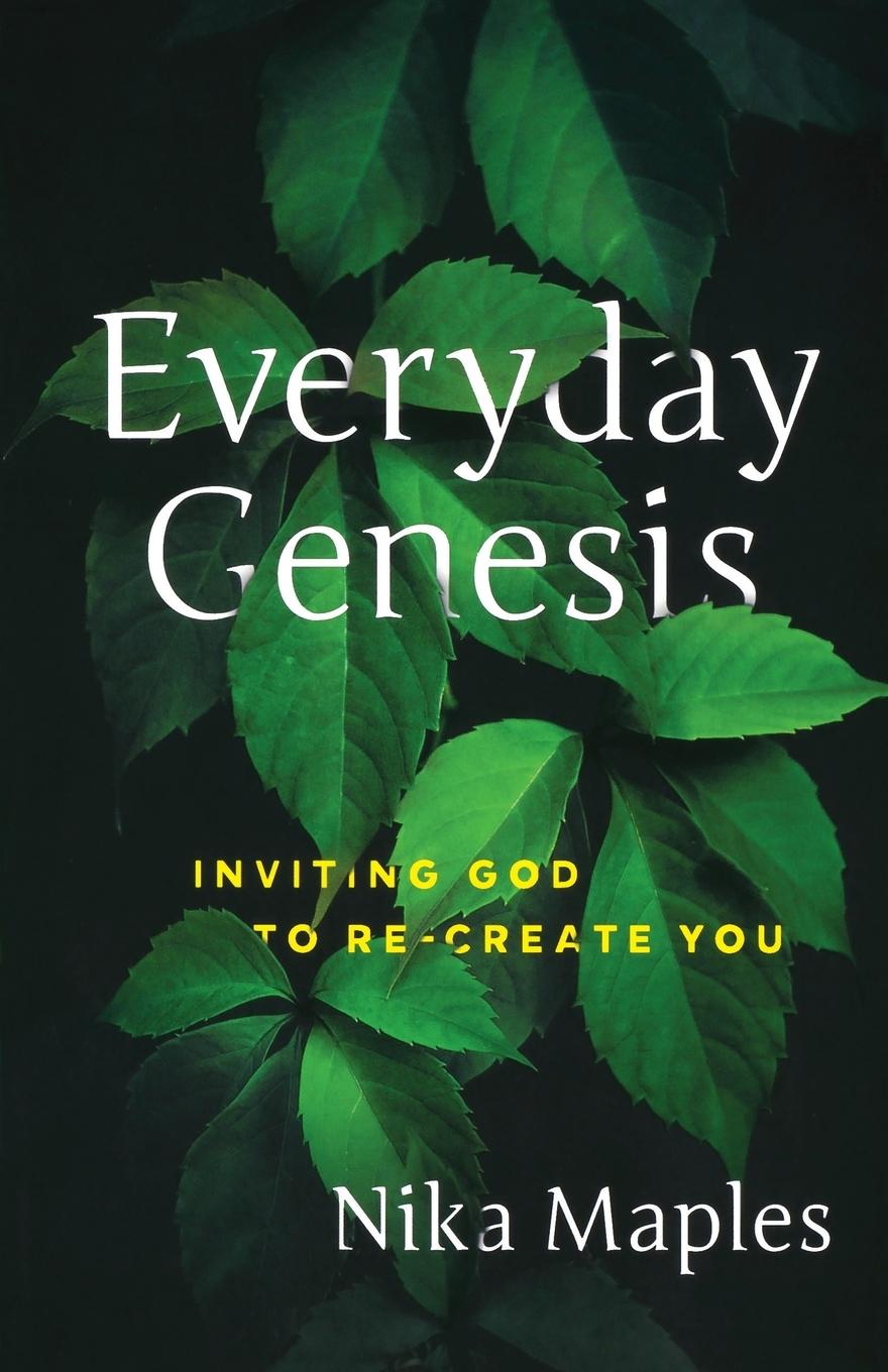 Vorderes Coverbild Everyday Genesis
