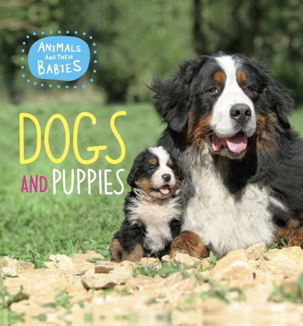 Vorderes Coverbild Dogs and Puppies
