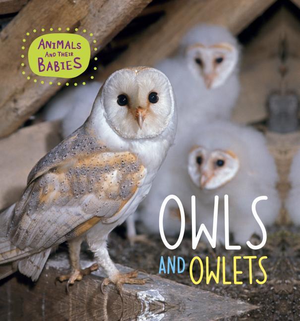 Vorderes Coverbild Owls and Owlets