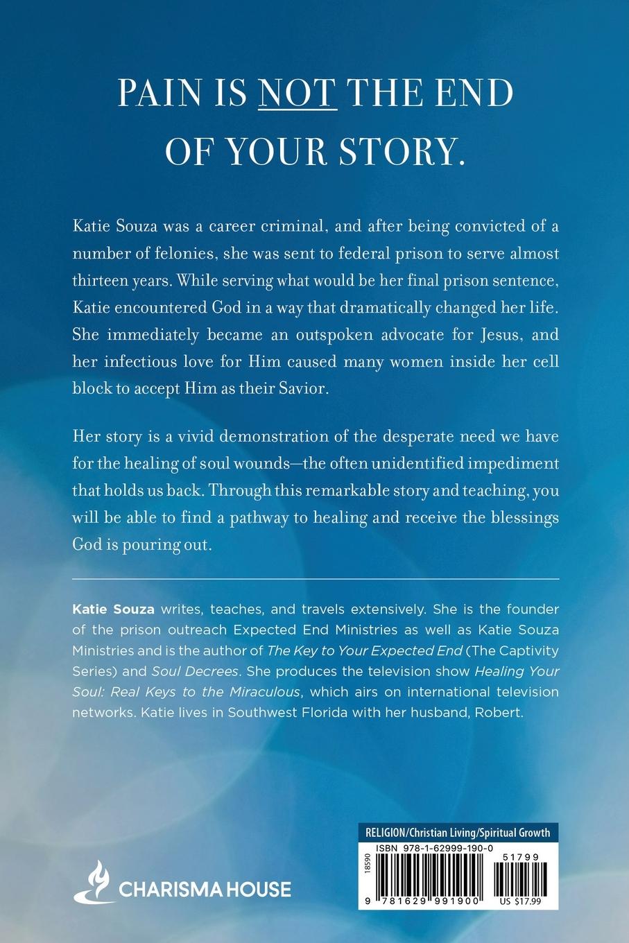 Rückseitencover Healing the Wounded Soul