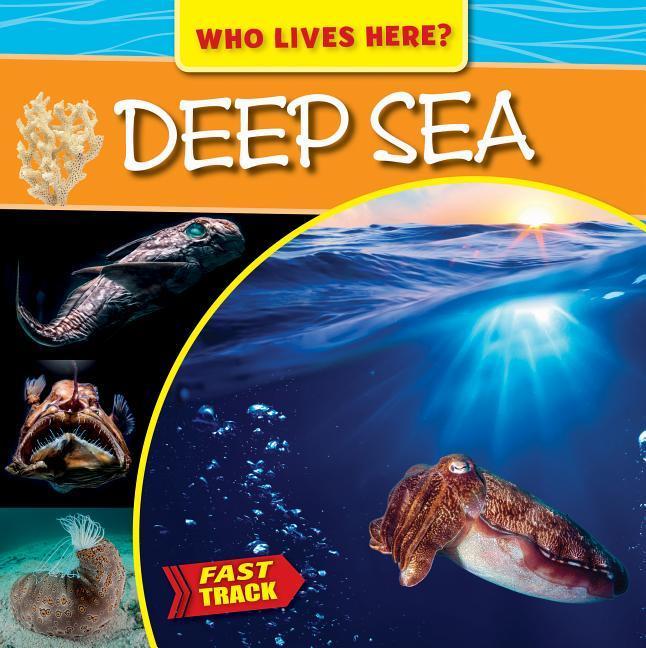 Vorderes Coverbild Deep Sea