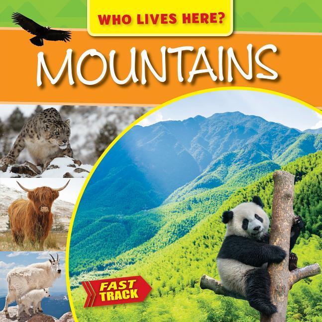 Vorderes Coverbild Mountains