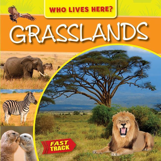 Vorderes Coverbild Grasslands