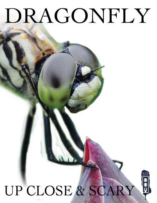 Vorderes Coverbild Dragonfly