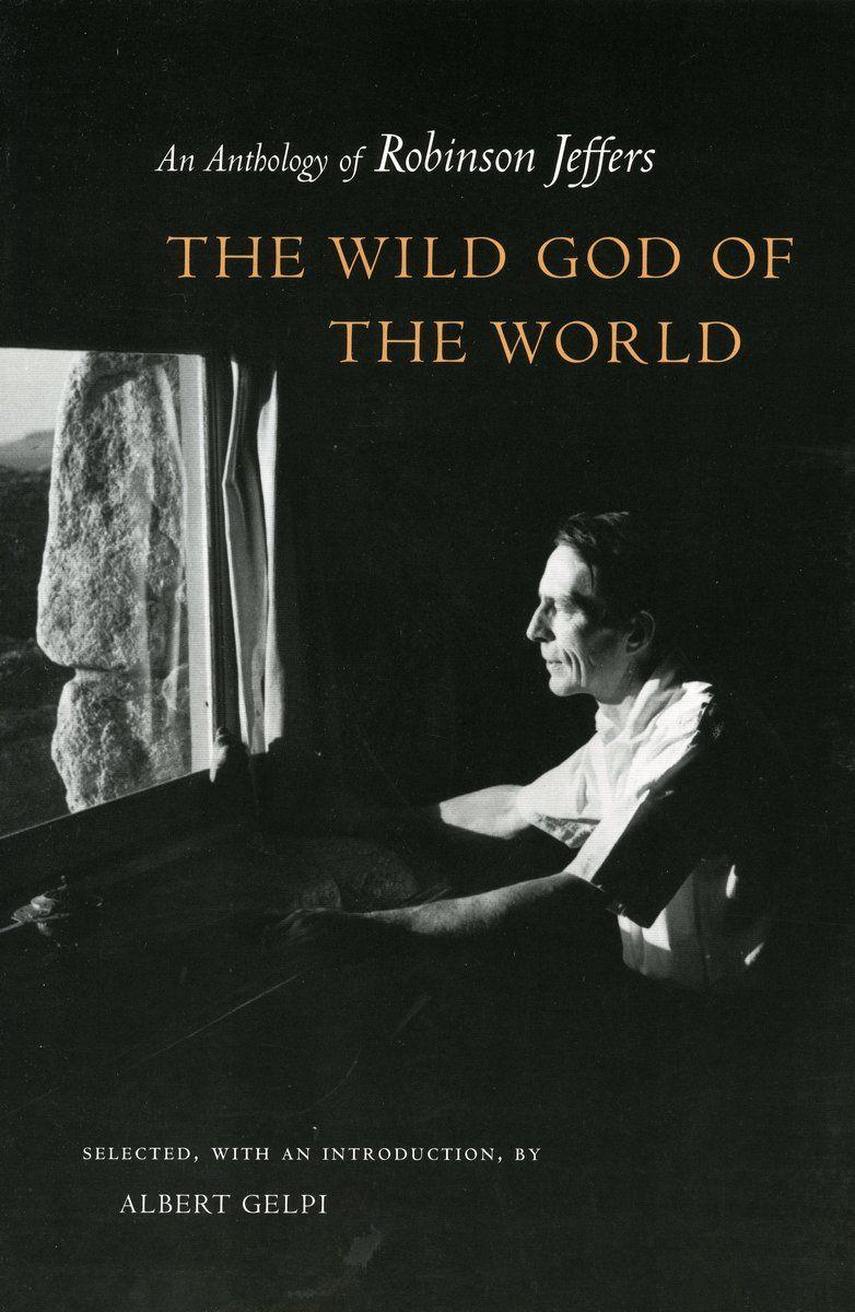 Vorderes Coverbild The Wild God of the World