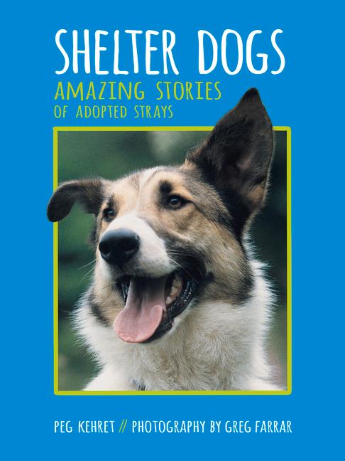 Vorderes Coverbild Shelter Dogs