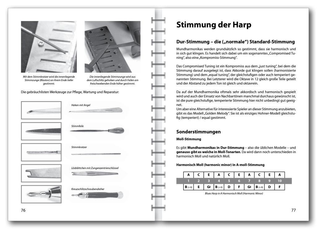 Beispielinhalt (Bild) Der Blues-Harp Ratgeber