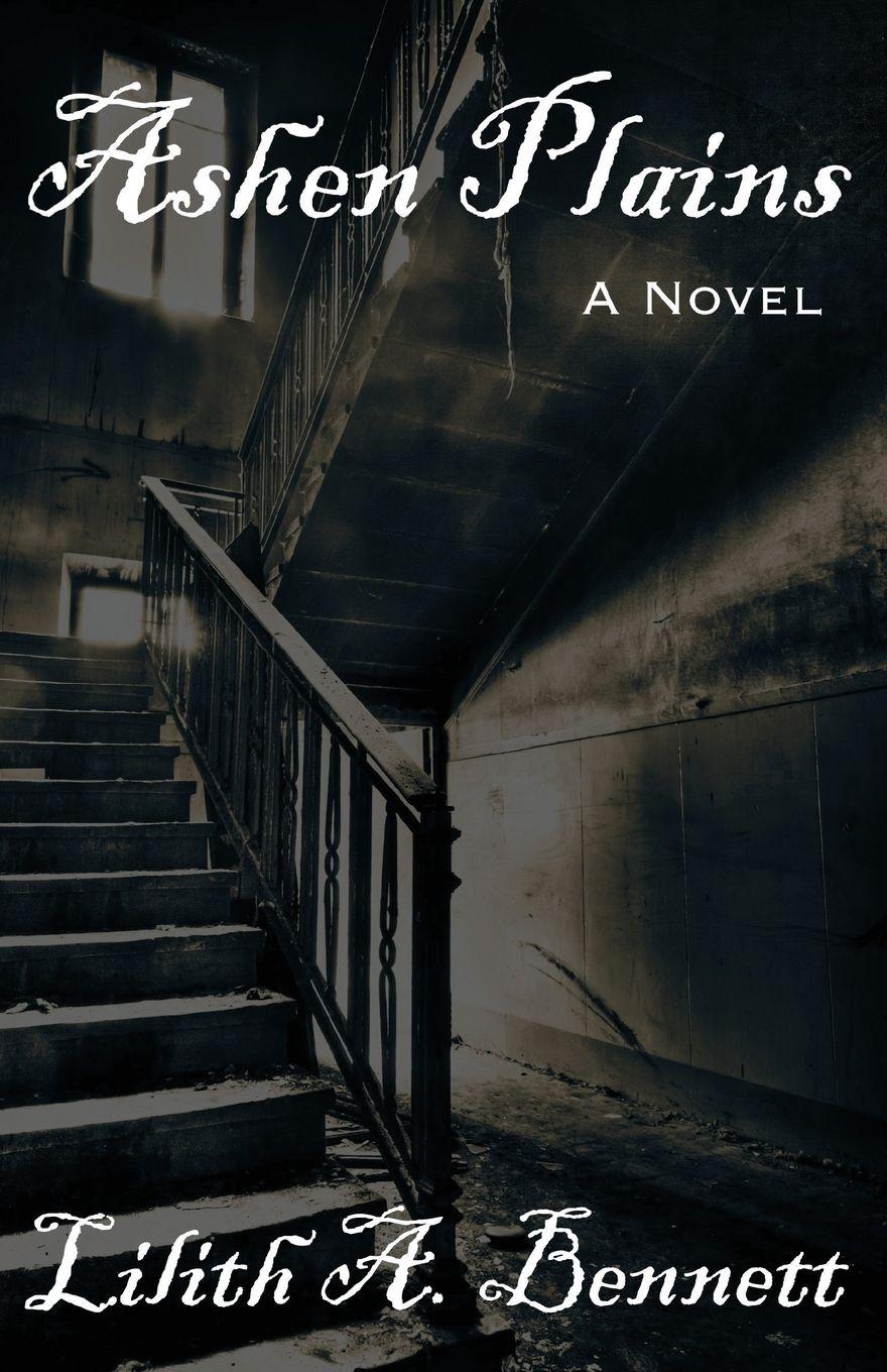 Vorderes Coverbild Ashen Plains