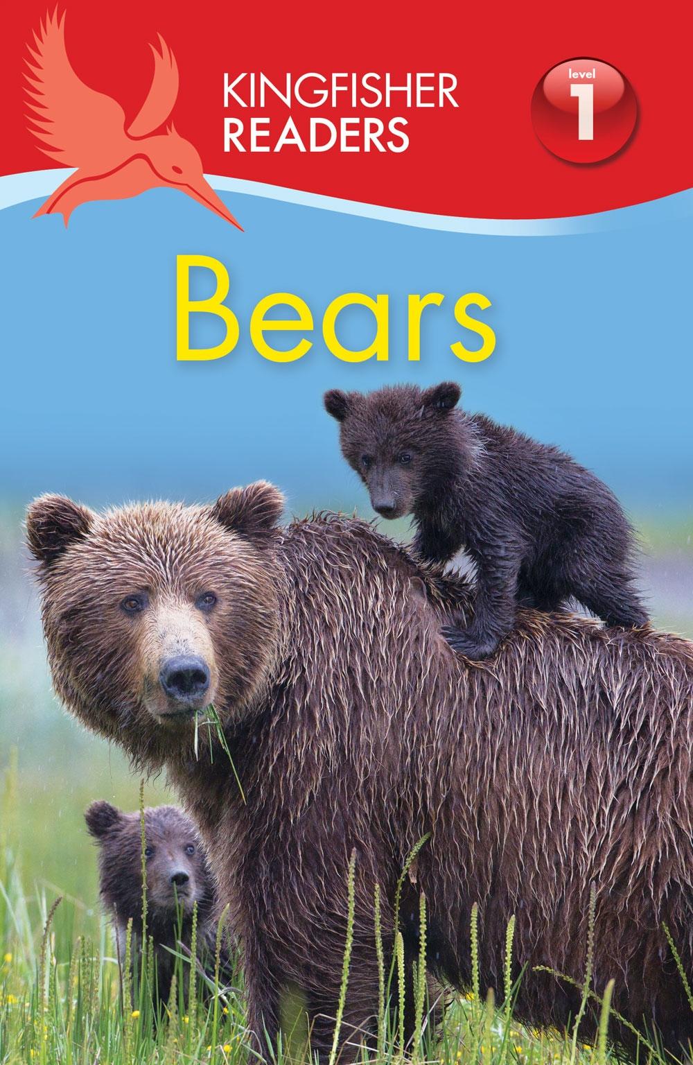 Vorderes Coverbild Kingfisher Readers: Bears (Level 1: Beginning to Read)