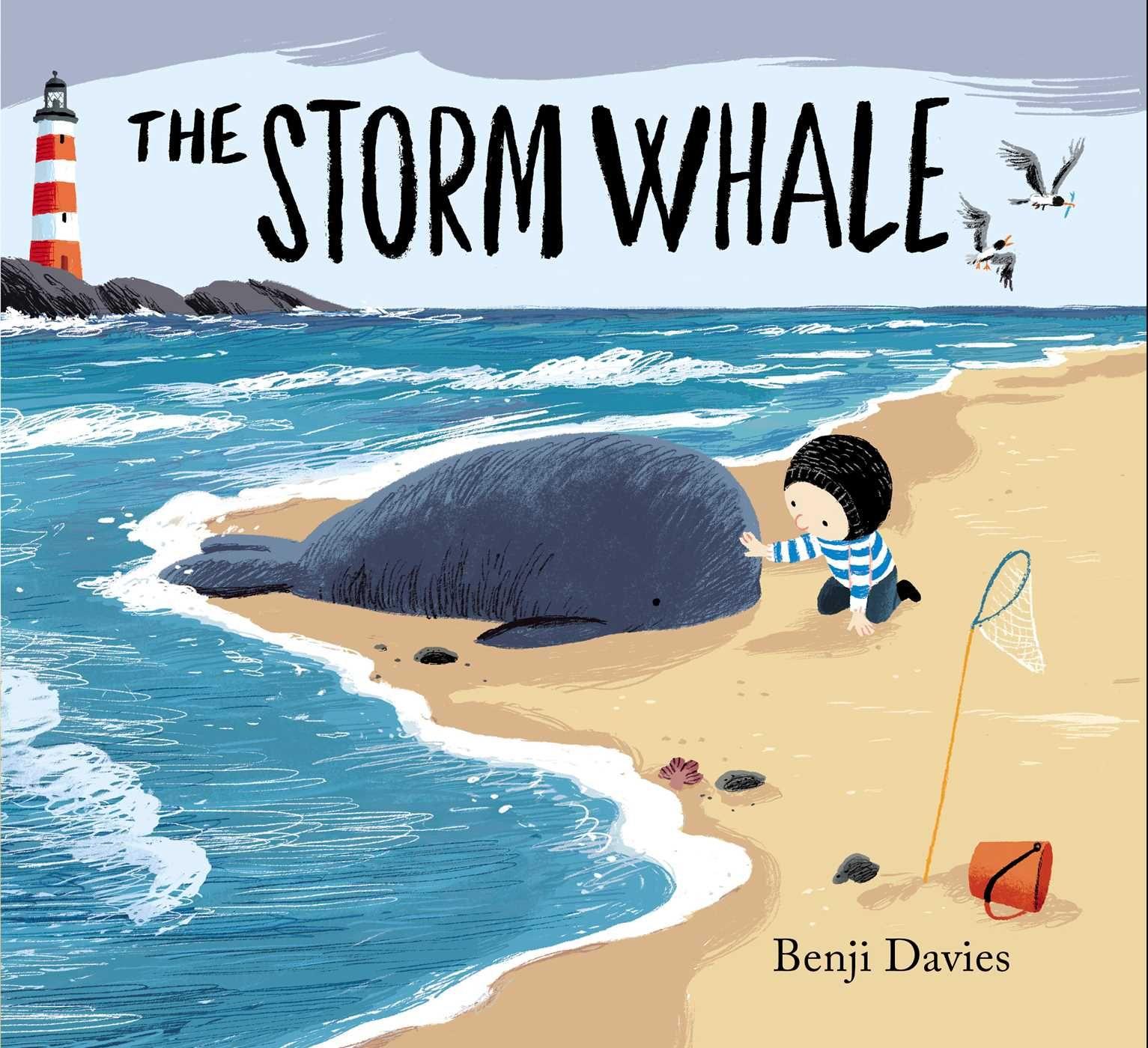 Vorderes Coverbild The Storm Whale
