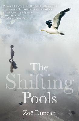Vorderes Coverbild The Shifting Pools