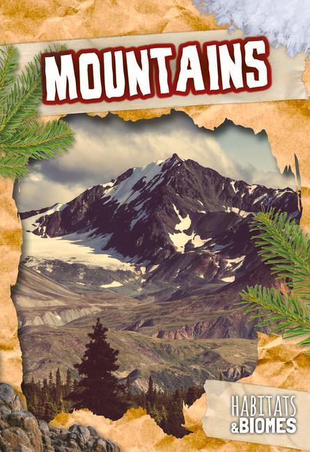Vorderes Coverbild Mountains