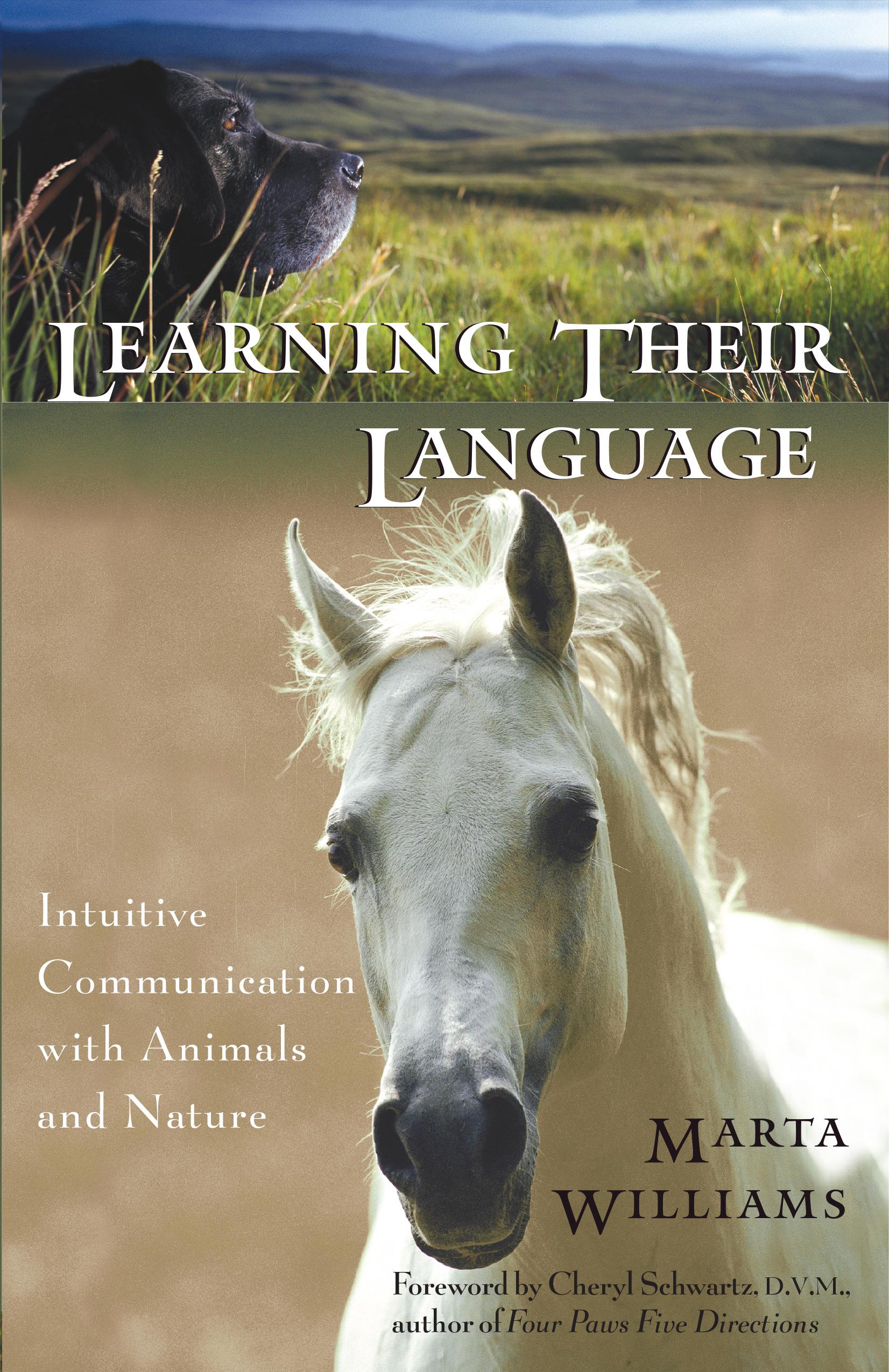 Vorderes Coverbild Learning Their Language