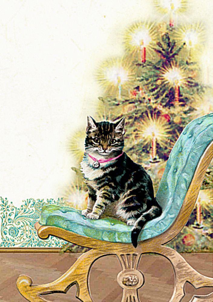 Beispielinhalt (Bild) Wand-Adventskalender - Katzen im Advent
