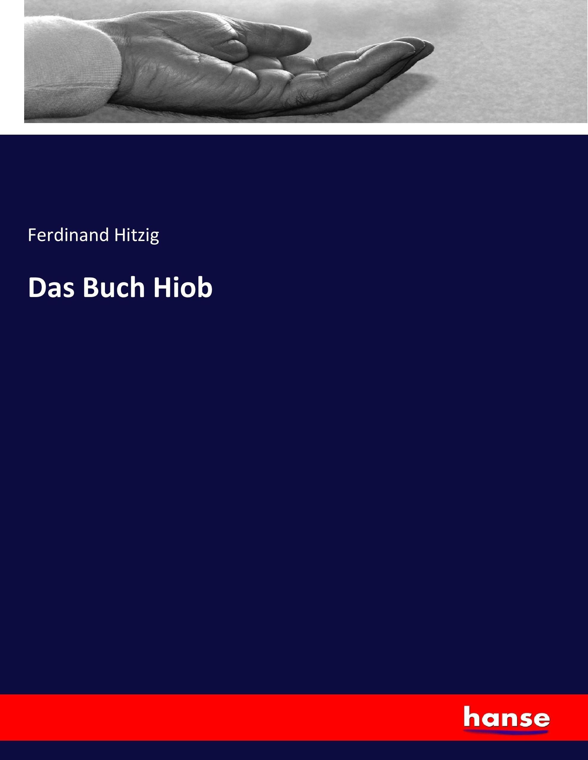 Vorderes Coverbild Das Buch Hiob