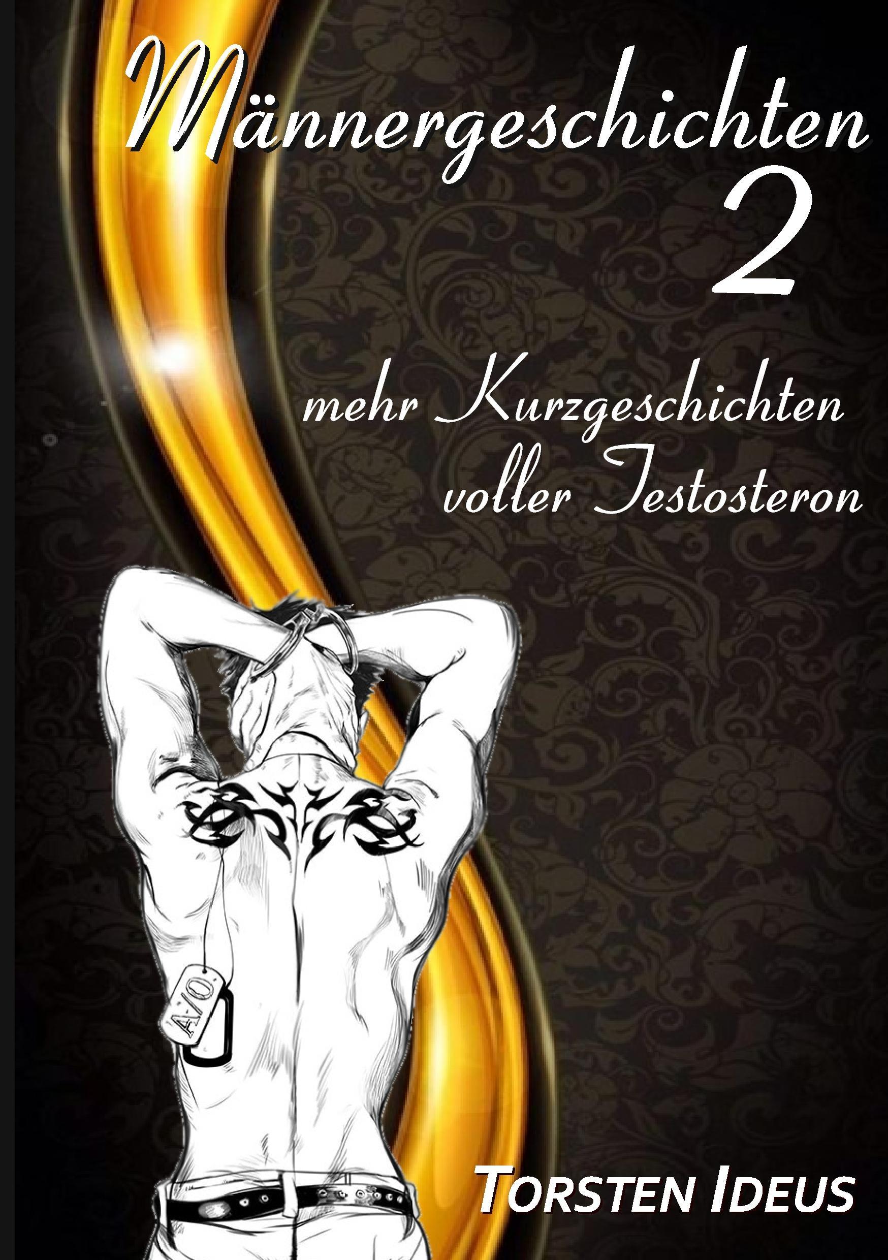 Vorderes Coverbild Männergeschichten 2