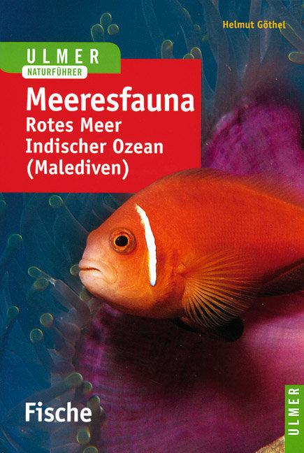 Vorderes Coverbild Meeresfauna. Fische
