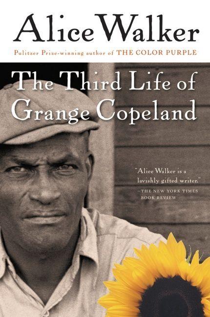 Vorderes Coverbild Third Life of Grange Copeland, The